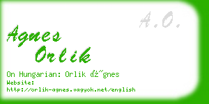 agnes orlik business card